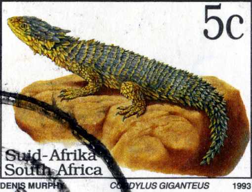 Stamp from South Africa.