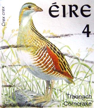 Stamp from Ireland